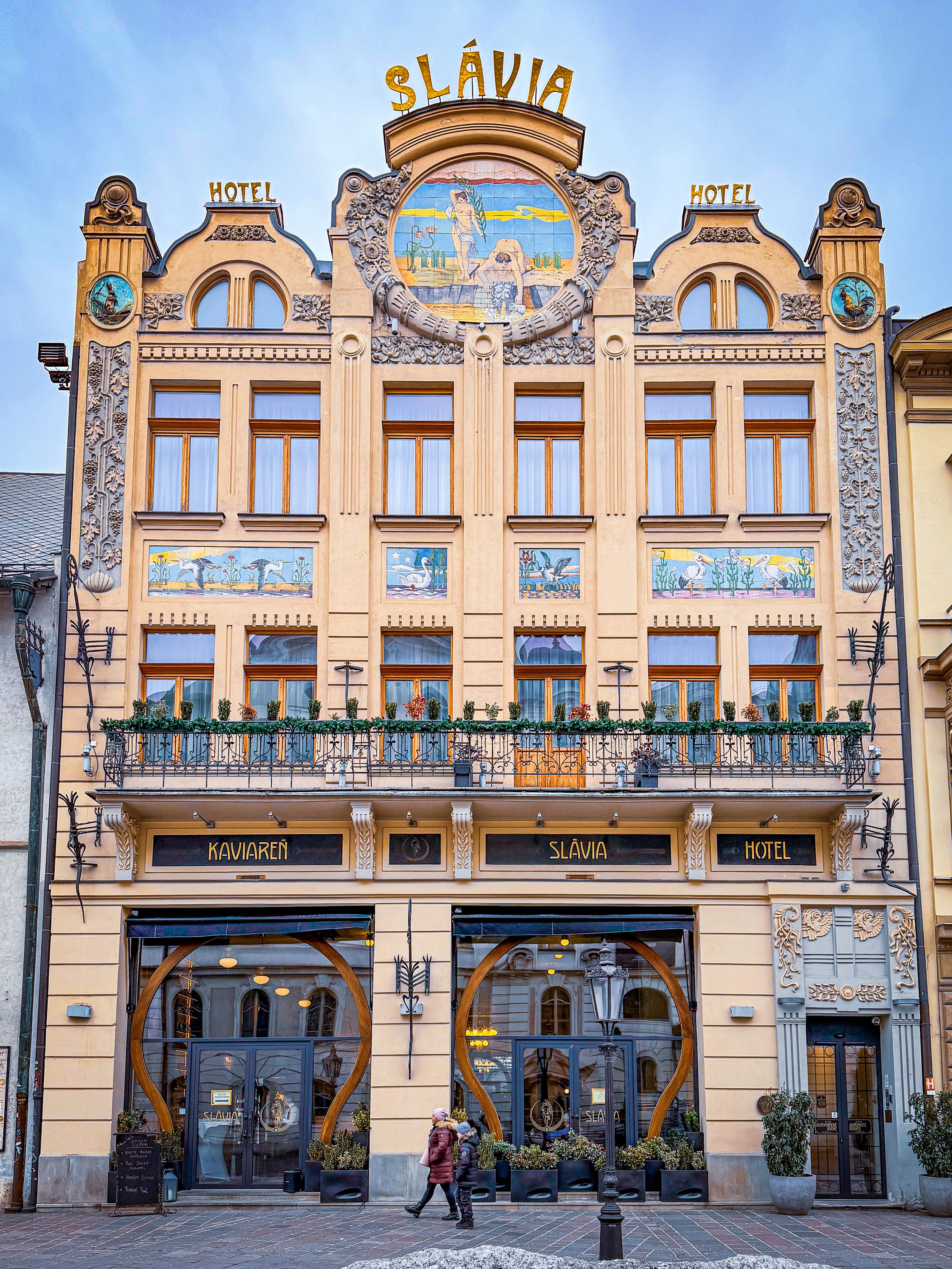 Instagram @stevo.bodor